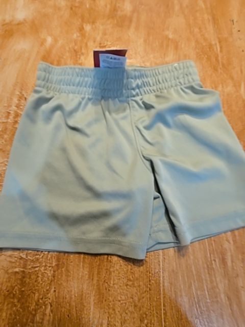 Green Garanimals Shorts, 2T B