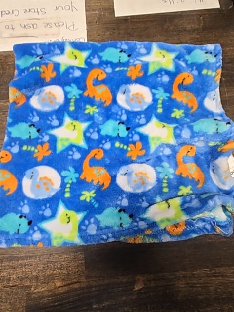 Blue Dino  Blanket
