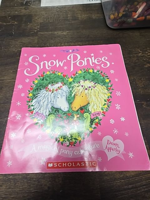 Snow Ponies Book