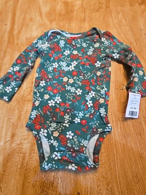 Green/Red Flowers Carters Longsleeve Onesie, 12M G