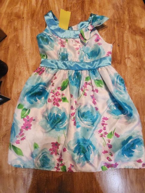 Blue/White/Pink Flowers Holiday Editions Holiday Dress, 6 G