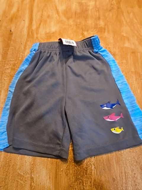 Grey/Blue Pink Fong Shorts, 2T B