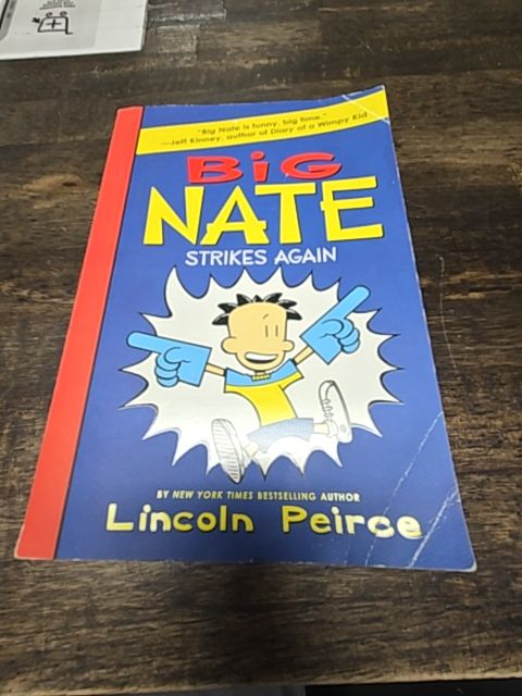 Big Nate Strikes Again Book