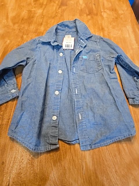 Blue  Carters Longsleeve Button Up, 18M B