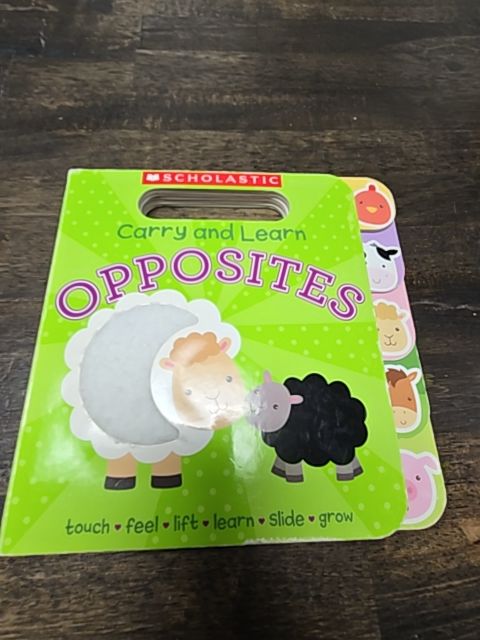 Carry And Learn Opposties Book