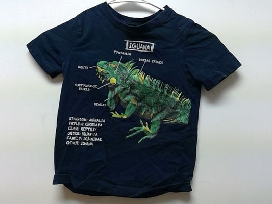 Blue The new ivy brand Iguana shirt, 5T B