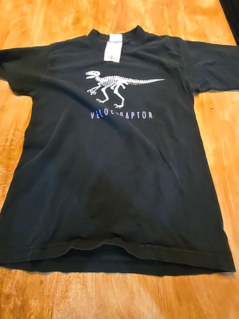 Black Velociraptor Fruit Of The Loom Shirt, 10 B