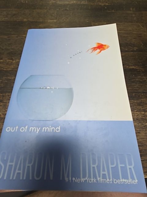 Out Of My Mind Book