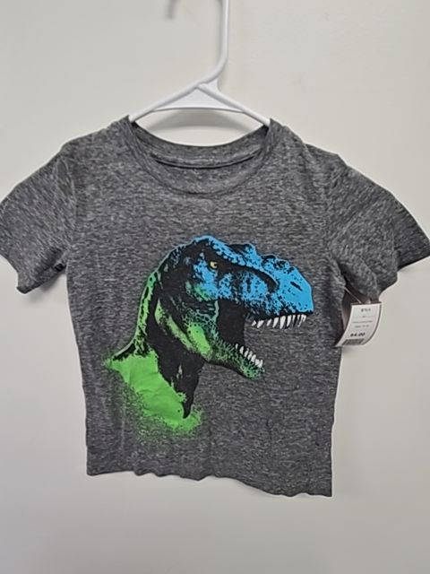 Grey/Blue/Green Dino Jumping Bean Shirt, 5T B