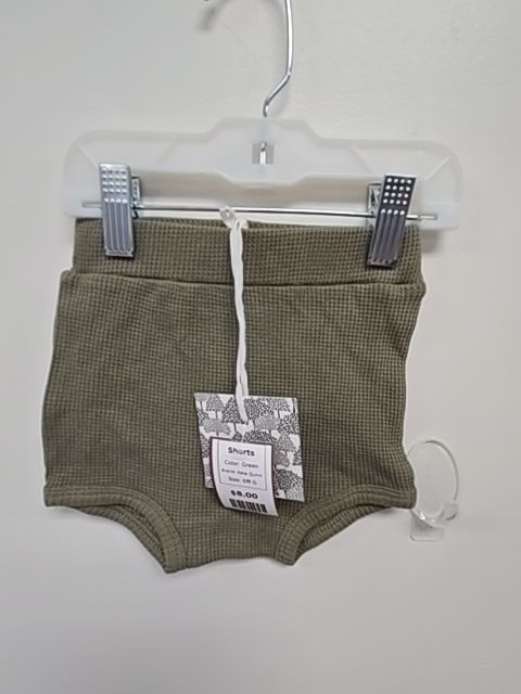 Green Kate Quinn Shorts, 6M G