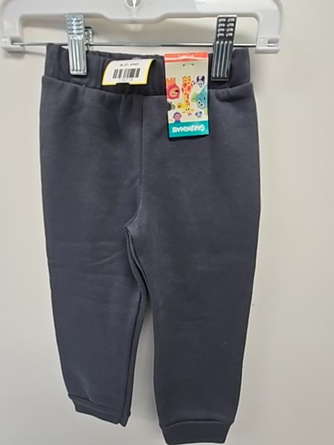 Grey Garanimals Pants, 2T B