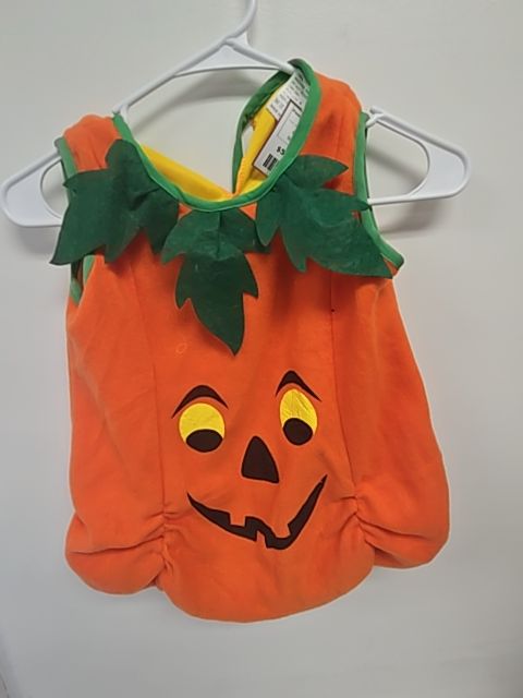 Orange/Yellow/Green  Pumpkin W/Hat, OS