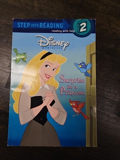Surprise For A Princess Book