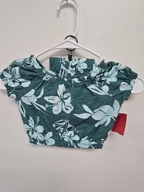 Green/Blue Flowers Carters Outfit, 3T G