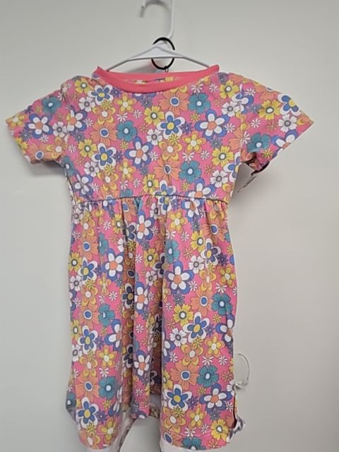 Pink/Coloful Flowers Lily & Dan Outfit, 4T G