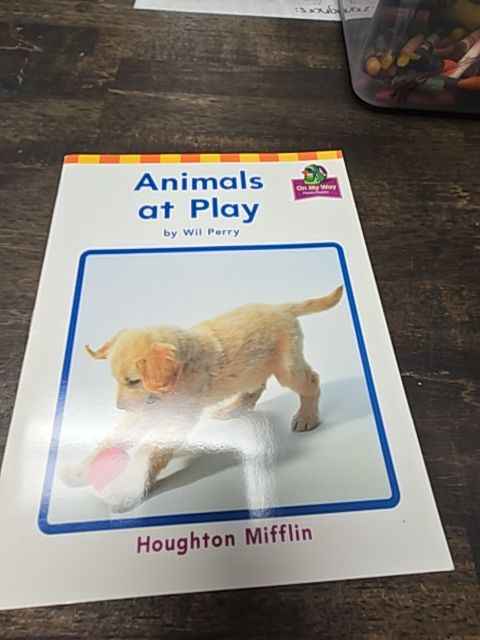 Animals At Play Book