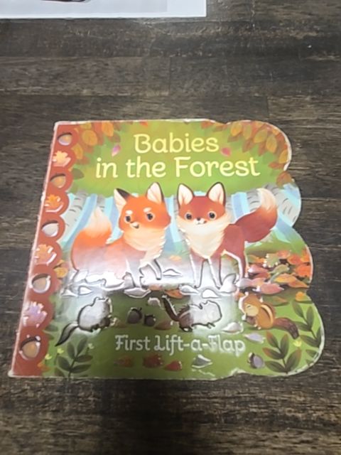 Babies In The Forest Book