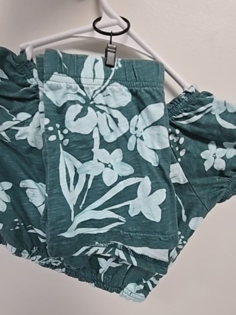 Green/Blue Flowers Carters Outfit, 3T G