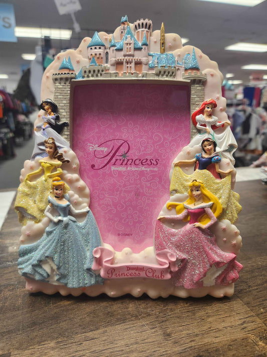 Pink Disney Princess Picture Frame