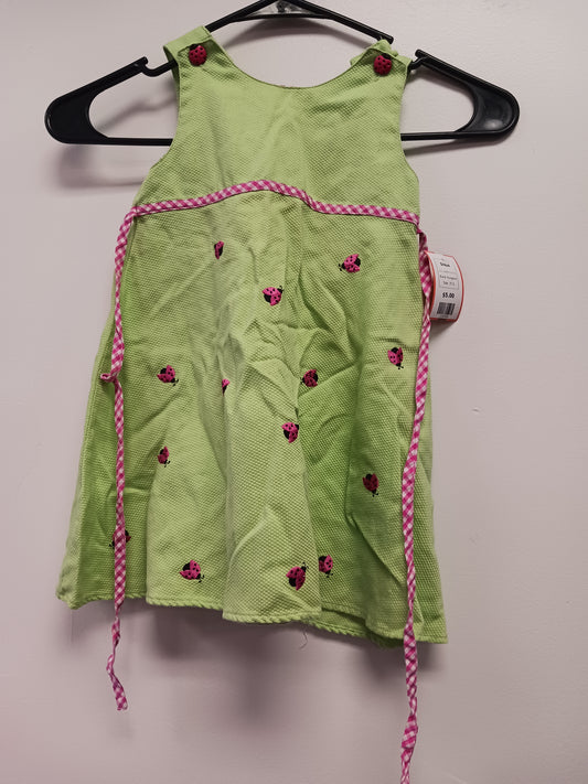 Green/Pink Ladybug Youngland Dress, 3T G