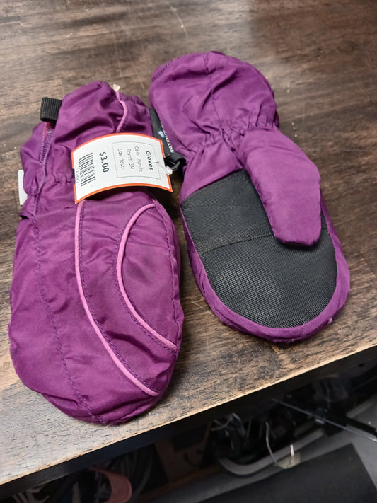 Purple 3M Gloves, Youth