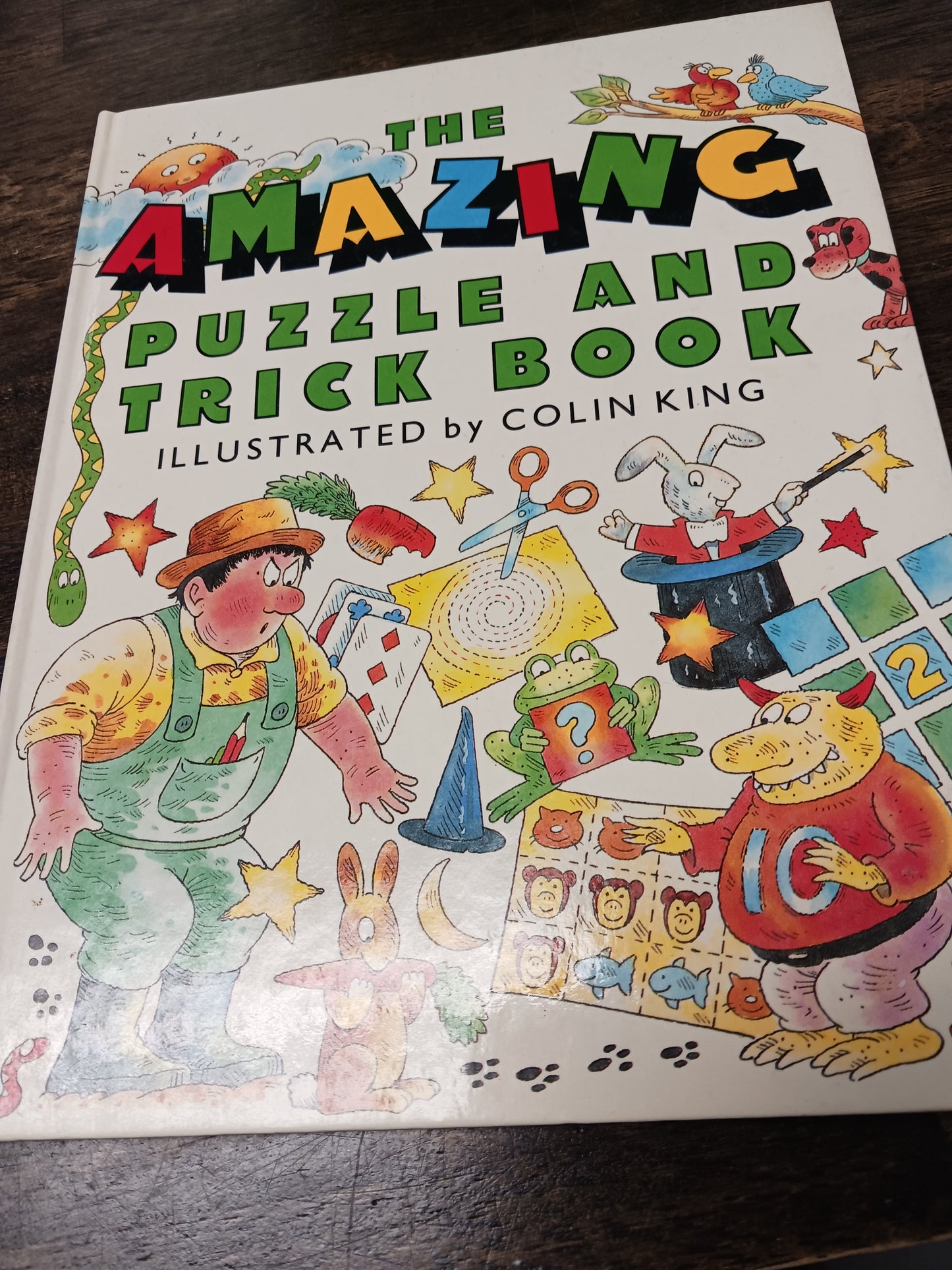 The Amazing Puzzle And Trick Book