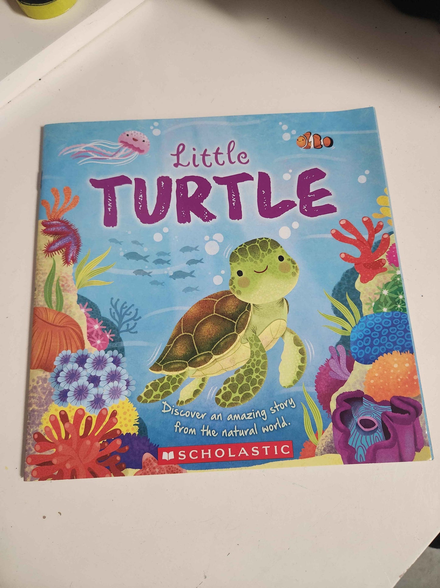 Little Turtle Book