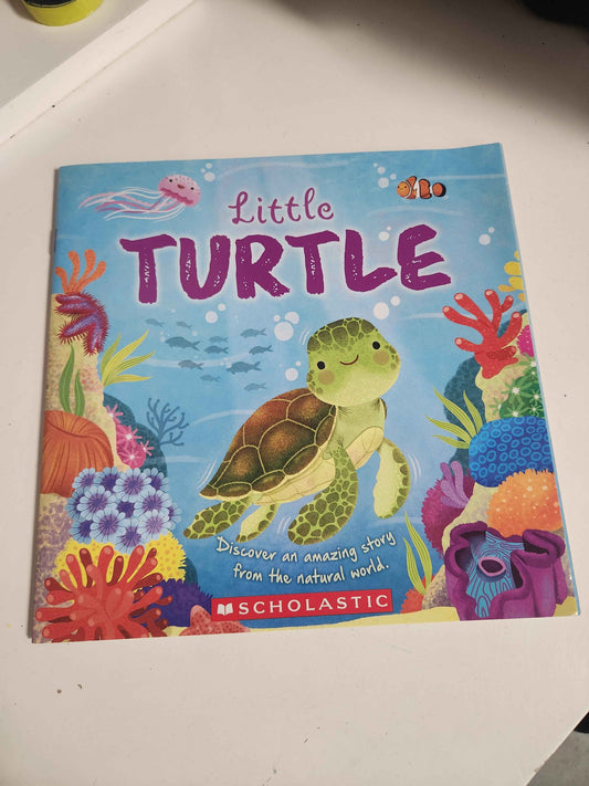 Little Turtle Book