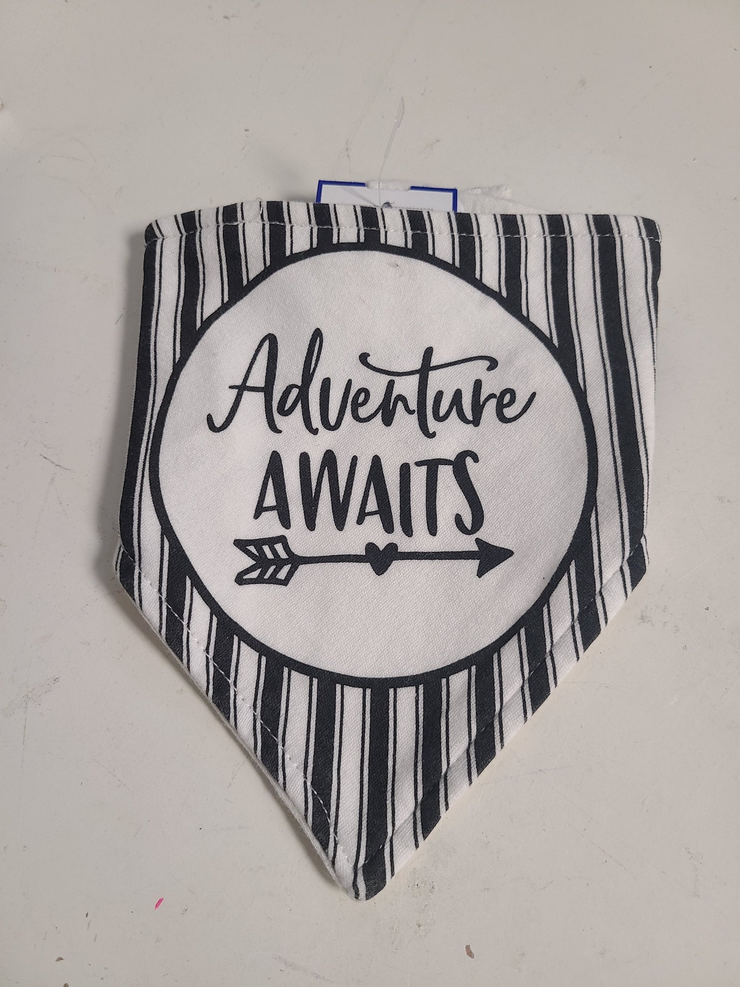 grey  Adventure Awaits Bib