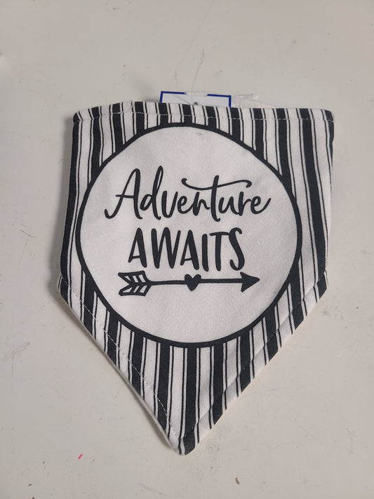grey  Adventure Awaits Bib