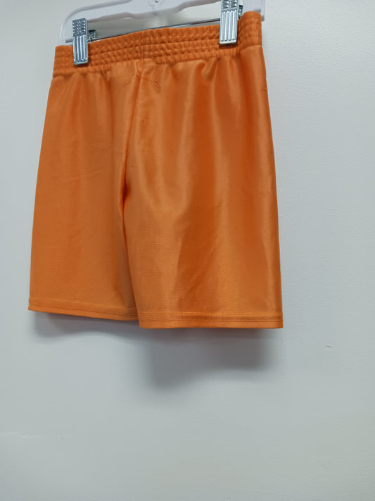 orange Garanimals Basket Ball Shorts, 3T B