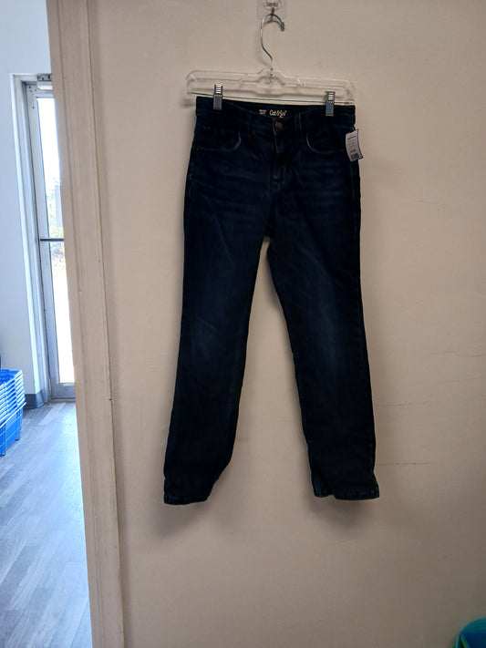 blue Cat & Jack Lined Jeans, 12 B