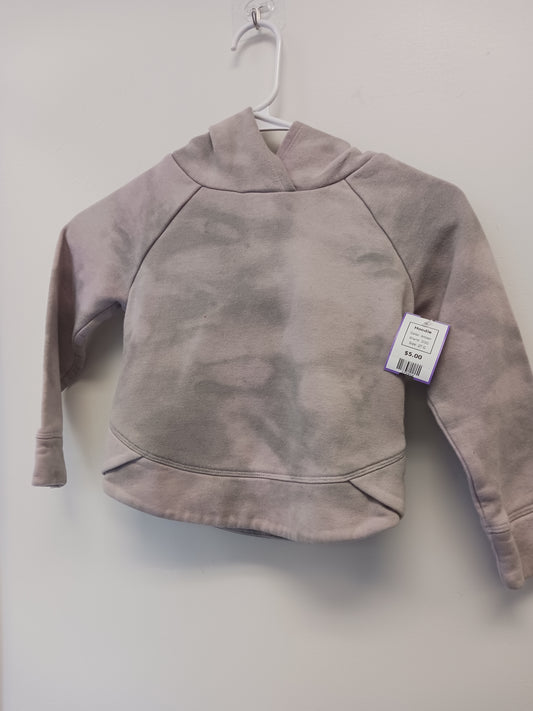 brown DSG Hoodie, 2T G