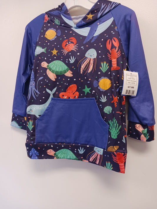 blue Boutique Turtle Hoodie  12/18m, 12M B