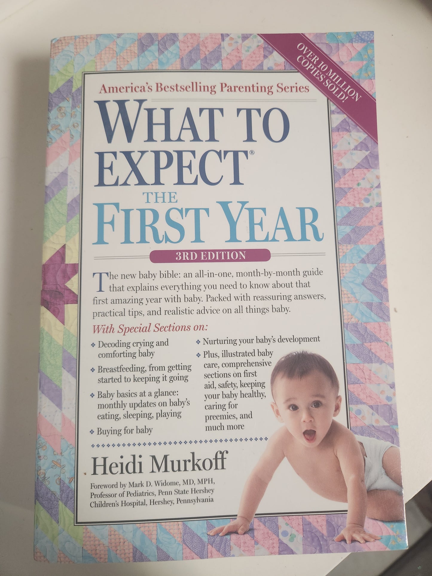 What To Expect The First Year Book