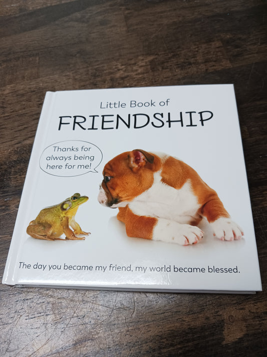 Little Book of Friendship