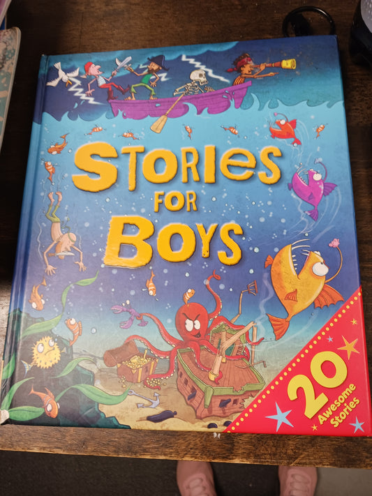 Stories for Boys book