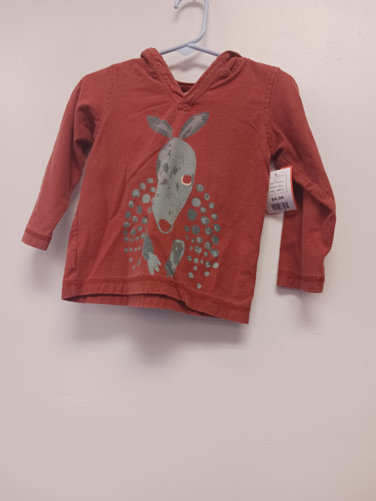 Brown Tea Hooded Longsleeve Shirt, 18M G