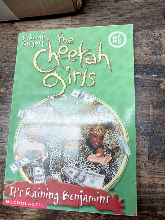 The Cheetah Girls It's Raining Benjamins Book