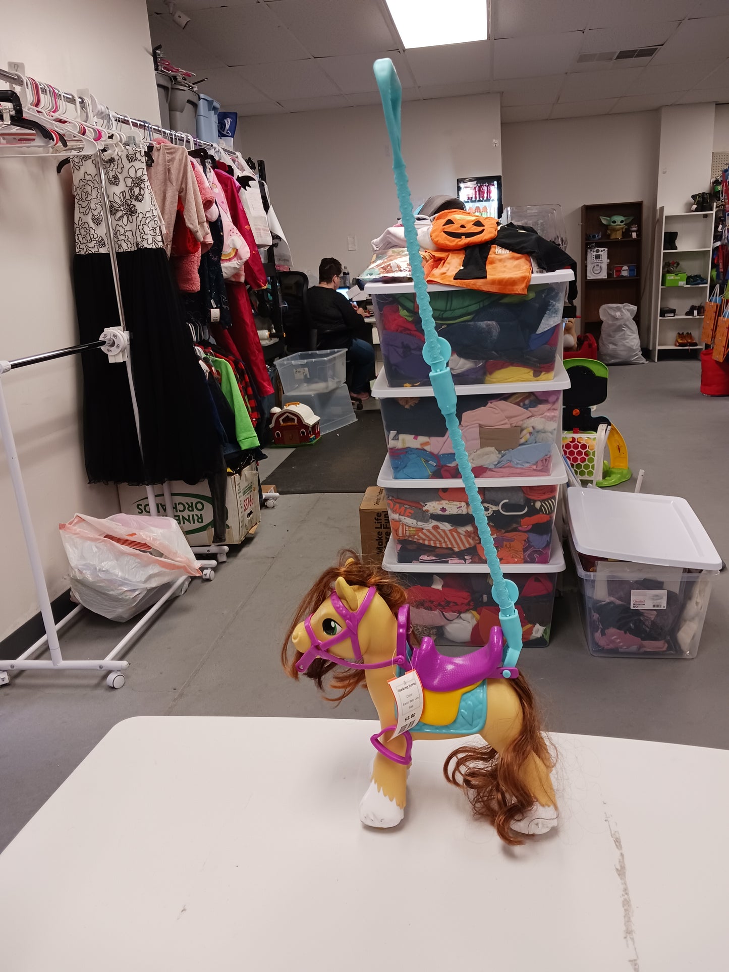 Baby Live Walking Horse