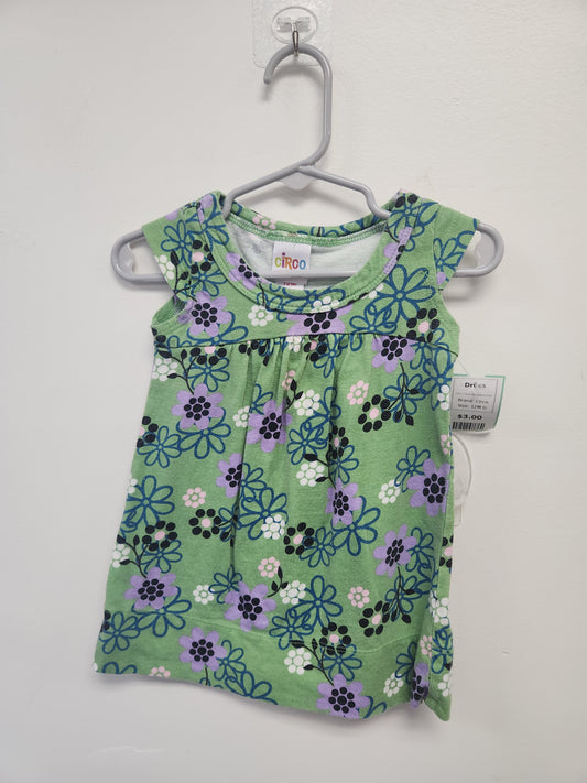 Green/Purple Flower Circo Dress, 12M G
