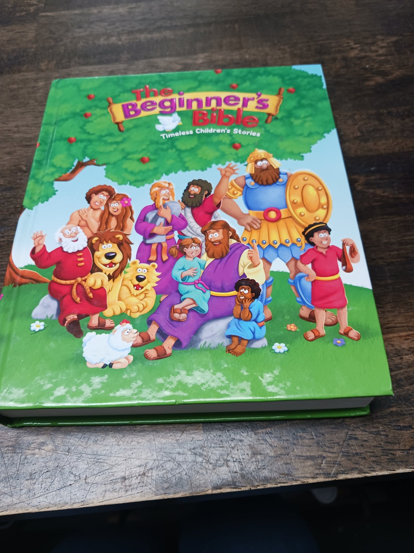 The Beginners Bible Book