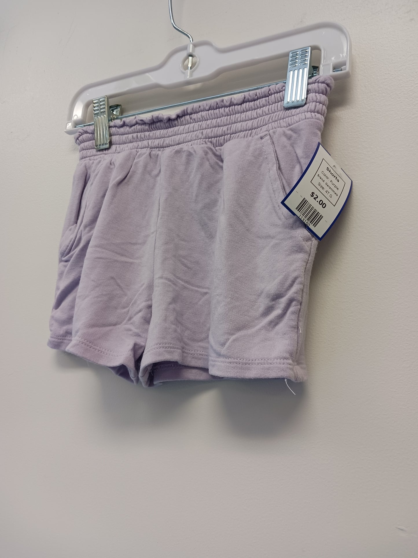 Purple Garanimals Shorts, 4T G