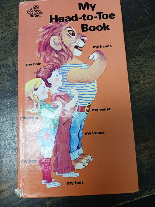 My Head to Toe Book