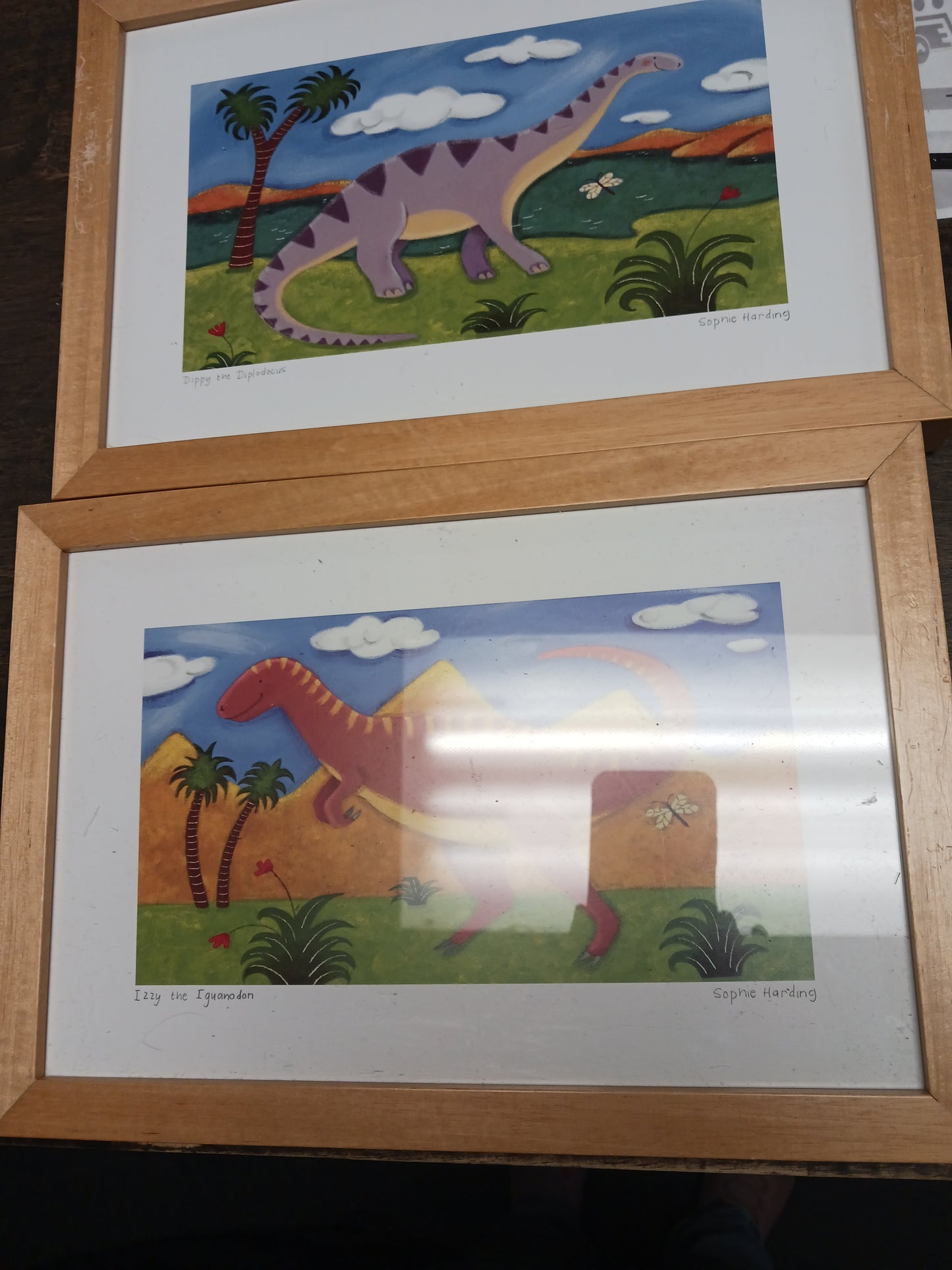 4 Framed Dinosaur Pictures