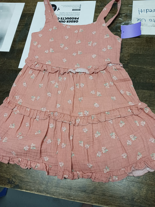 Pink Flower Modern Moments Dress, 5T G