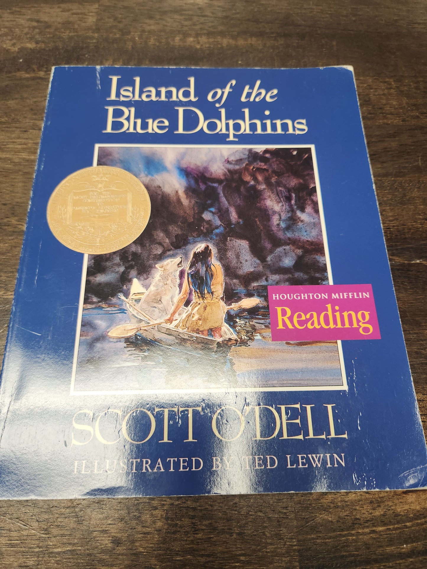 Island Of The Blue Dolphins Book