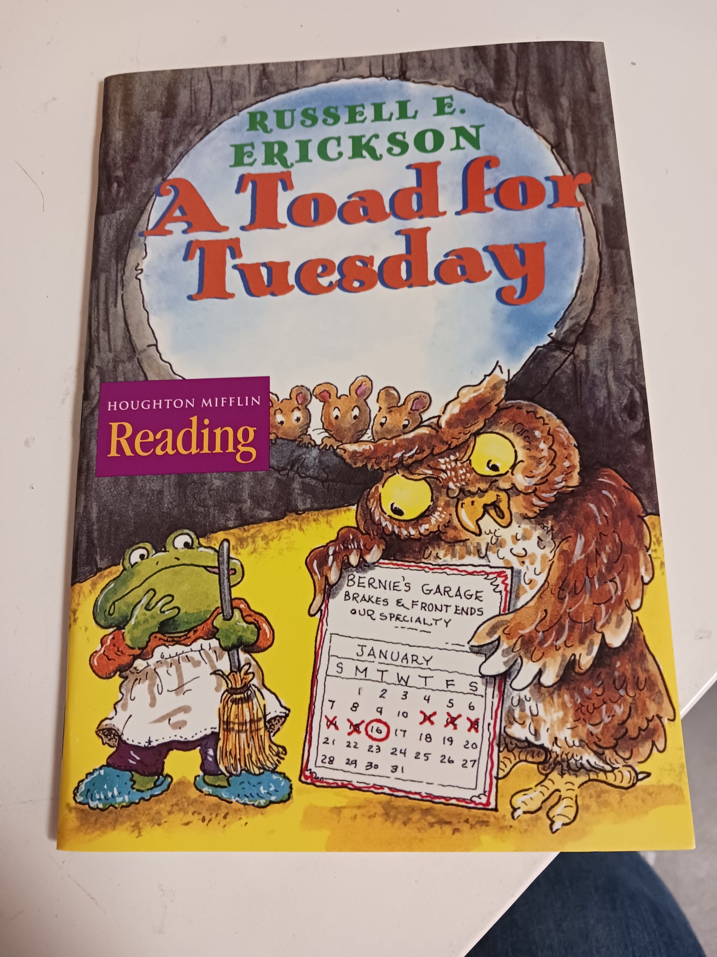 A Toad for tuesday book