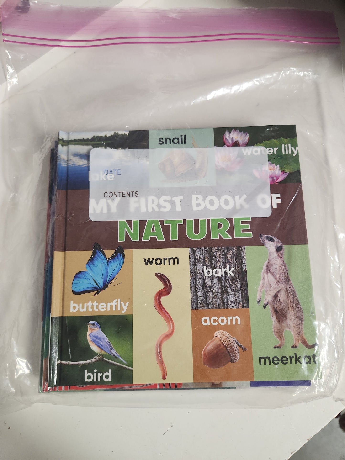 First Books Book Set(4)