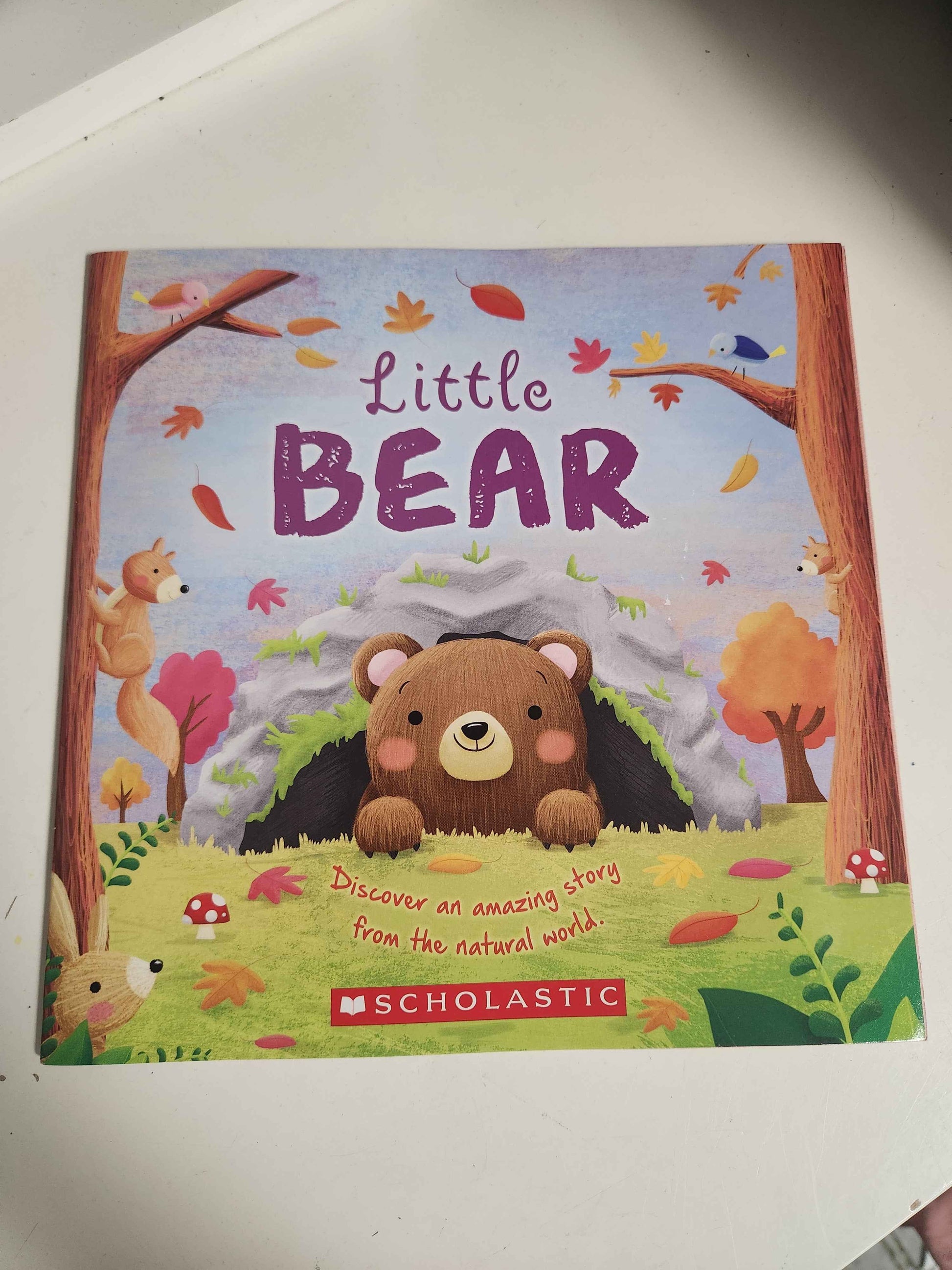 Little Bear Book